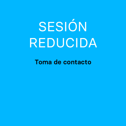 Primera sesión